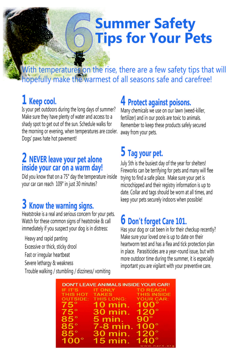 summer safety poster
