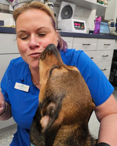 dog kissing on a veterinarian