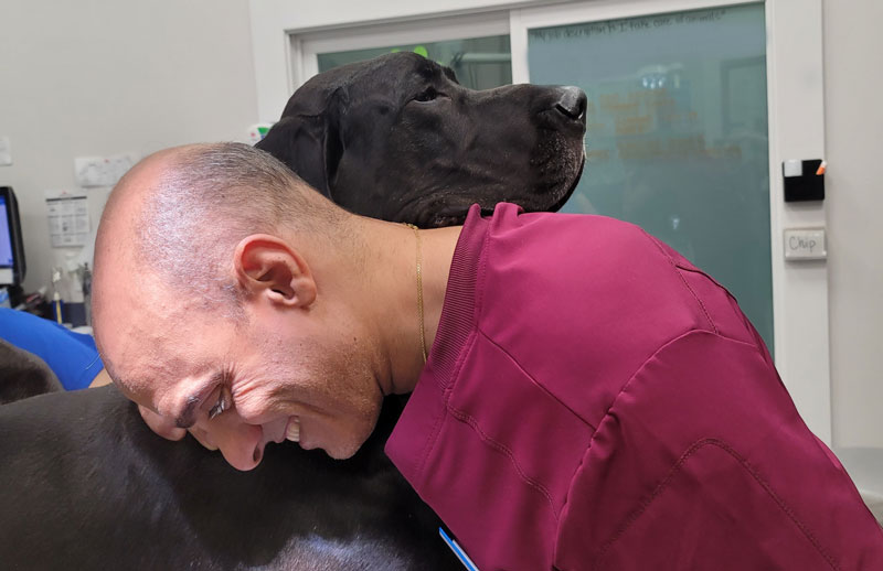MEET-YOUR-VETERINARY-FAMILY